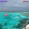 Bayada Daily Trips (Maldives of Jeddah)