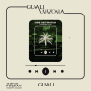 Guvali Amazonia in Jeddah
