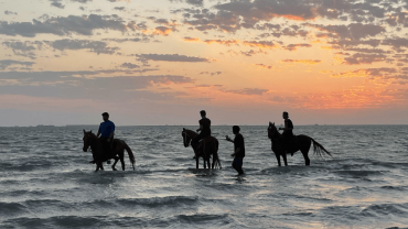 تجربة ركوب الخيل في جدة