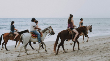 Horse Riding in Jeddah