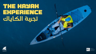 Kayak Experience in Jeddah