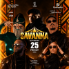 Savanna in Jeddah