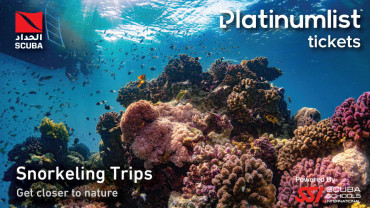 Snorkeling Daily Trips in Jeddah