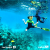 Snorkeling Daily Trips in Jeddah